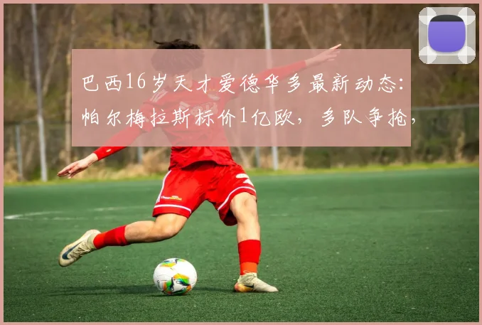 巴西16岁天才爱德华多最新动态：帕尔梅拉斯标价1亿欧，多队争抢，解析其技术特点与潜在下家（2026版）