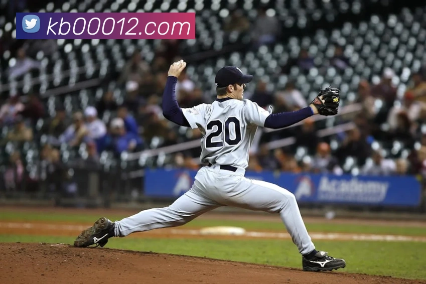 奖项证书